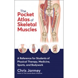 Pocket Atlas of Skeletal Muscles: A Reference for Students of Physical Therapy, Medicine, Sports, and Bodywork