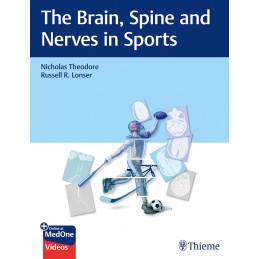 The Brain, Spine and Nerves in Sports