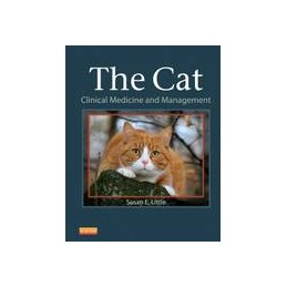 The Cat