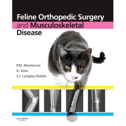 Feline Orthopedic Surgery...