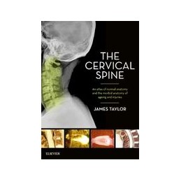 The Cervical Spine