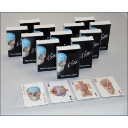 Netter Playing Cards