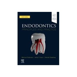 Endodontics