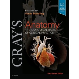 Gray's Anatomy