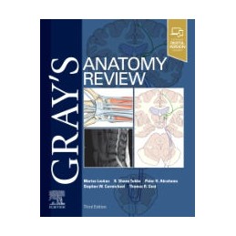 Gray's Anatomy Review