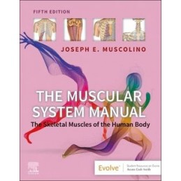 The Muscular System Manual