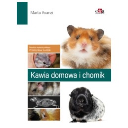 Kawia domowa i chomik