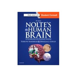 Nolte's The Human Brain