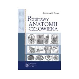 Podstawy anatomii człowieka