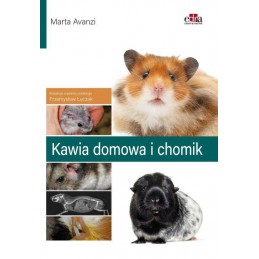 Kawia domowa i chomik