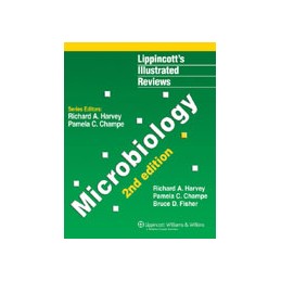 Lippincott Illustrated...