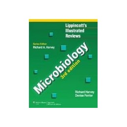 Lippincott Illustrated...