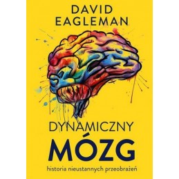 Dynamiczny mózg