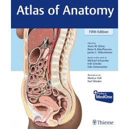 Gilroy Atlas of Anatomy