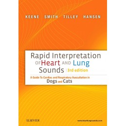 Rapid Interpretation of...