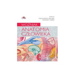 Anatomia człowieka. Woźniak