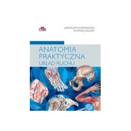 Anatomia praktyczna - układ...