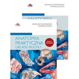 Anatomia praktyczna - układ...