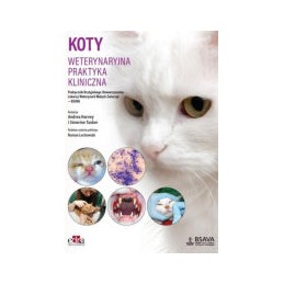 Koty - weterynaryjna...