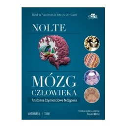 Nolte Mózg człowieka....