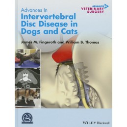 Advances in Intervertebral...