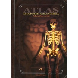 Atlas anatomii człowieka
