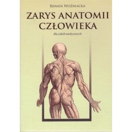 Zarys anatomii człowieka