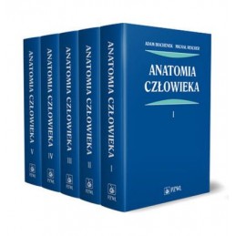 Bochenek Anatomia człowieka tom I-V Bochenek Anatomia człowieka tom I-V