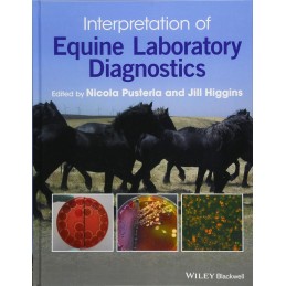 Interpretation of Equine...