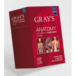 Gray's Anatomy for Students Flash Cards