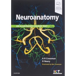 Neuroanatomy: an...