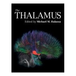The Thalamus