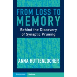 From Loss to Memory: Behind...