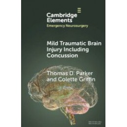 Mild Traumatic Brain Injury...