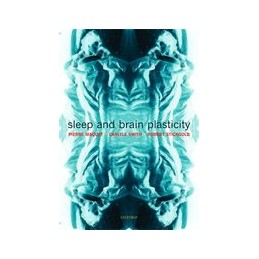 Sleep and Brain Plasticity