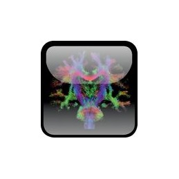 Diffusion MRI