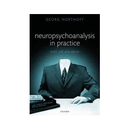 Neuropsychoanalysis in practice