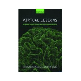 Virtual Lesions