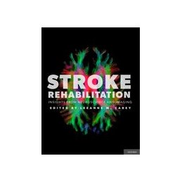 Stroke Rehabilitation