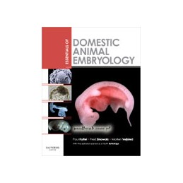 Essentials of Domestic...