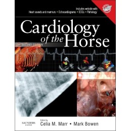 Cardiology of the Horse
