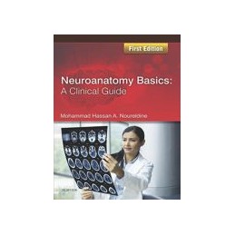 Neuroanatomy Basics: A...