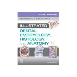 Student Workbook for Illustrated Dental Embryology, Histology and Anatomy