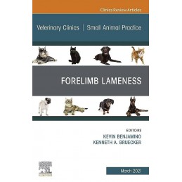 Forelimb Lameness, An Issue...
