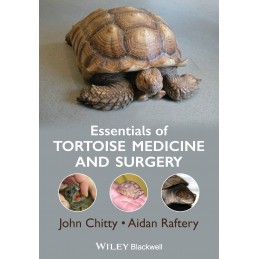 Essentials of Tortoise...