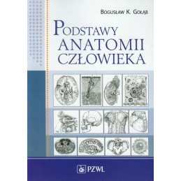 Podstawy anatomii człowieka