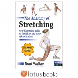 The Anatomy of Stretching:...