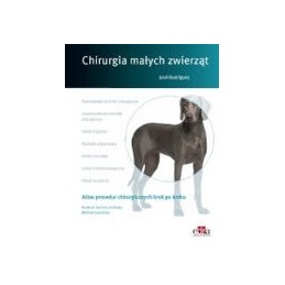 Chirurgia małych zwierząt