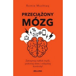 Przeciążony mózg