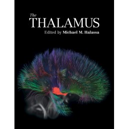 The Thalamus